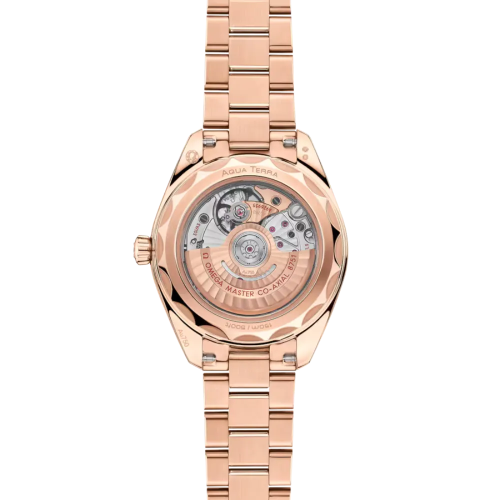 Seamaster Aqua Terra 150M 30 mm, Sedna gold on Sedna gold Ref. 220.50.30.20.09.001 - Image 5